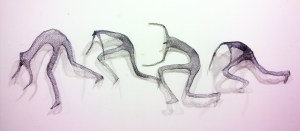 Runners_2014_cm 220 X 90 X 23