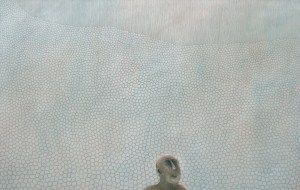 The Hermit 2009 cm 71X111