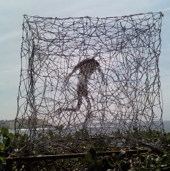 Chaos and Order 2009 Bondi au