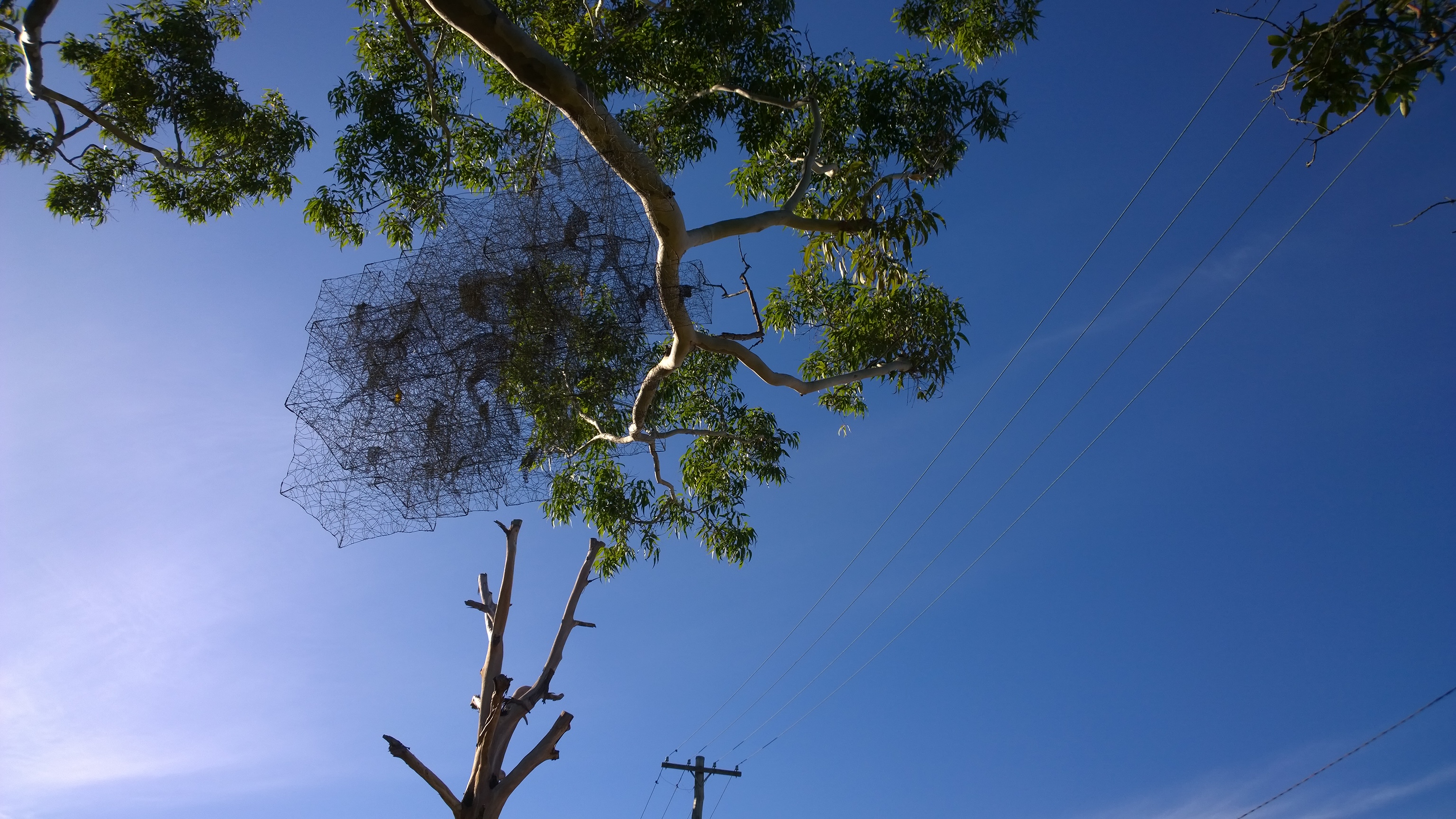 WP_20160101_16_50_17_Pro